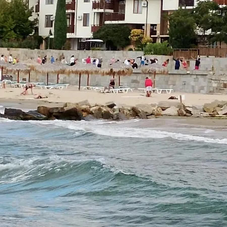 Garden Of Eden - M303 Rey&mar