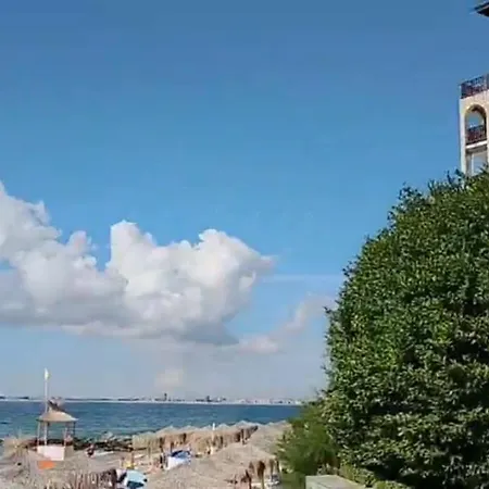 Garden Of Eden - M303 Rey&mar