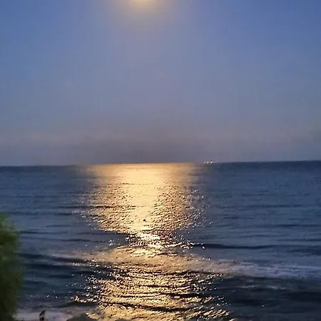 Garden Of Eden - M303 Rey&mar Sveti Vlas