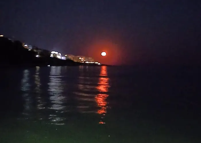 Garden Of Eden - M303 Rey&mar *