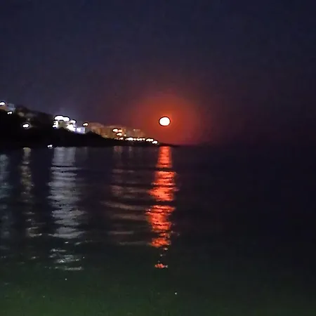 Garden Of Eden - M303 Rey&mar *