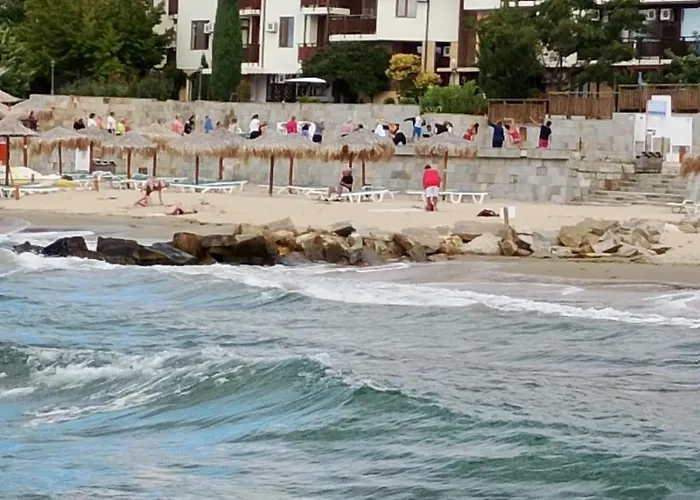 Garden Of Eden - M303 Rey&mar