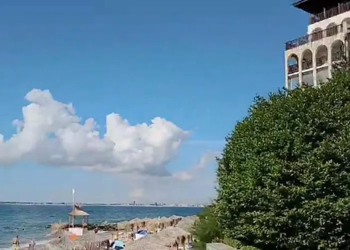 Garden Of Eden - M303 Rey&mar