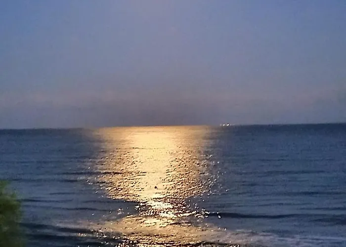 Garden Of Eden - M303 Rey&mar Sveti Vlas